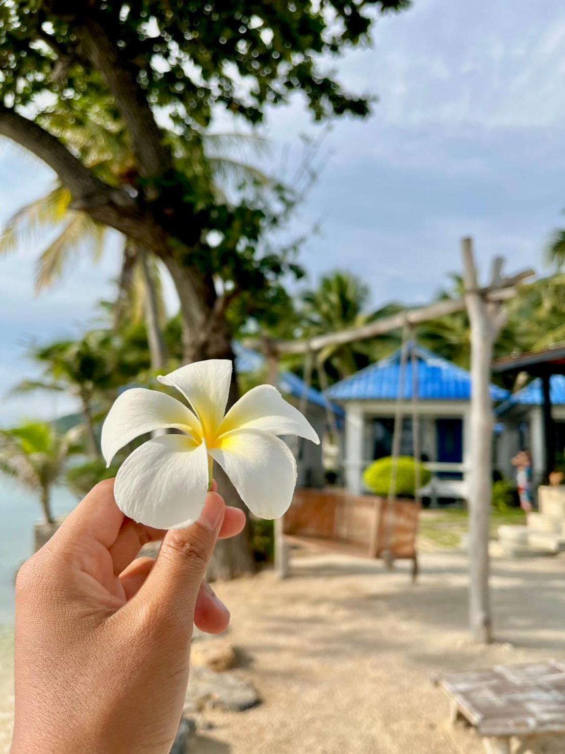 Sunset Beach Villas Haad Rin Ngoại thất bức ảnh